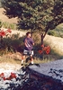 1997 - Hombre in via Bottiglie, Piero e l'albero!